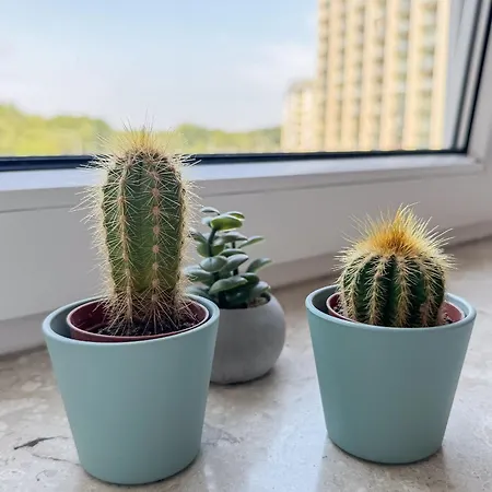 Apartment Watt N Blick 220