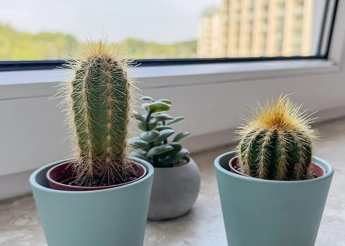 Апартаменты Watt N Blick 220